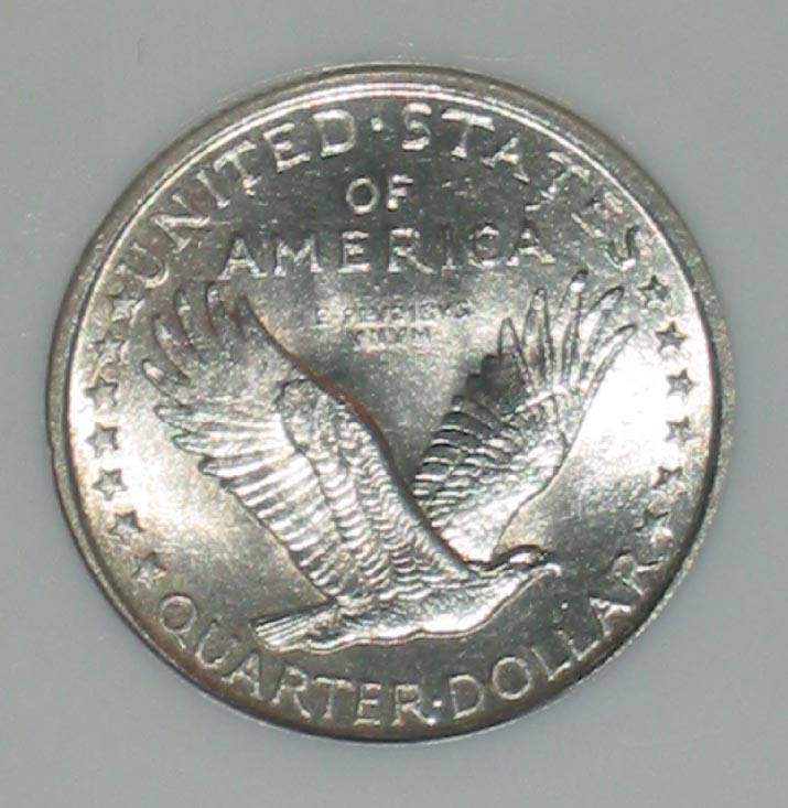 Brace-Yourself.-1917-Type-1-Standing-Liberty-Quarter